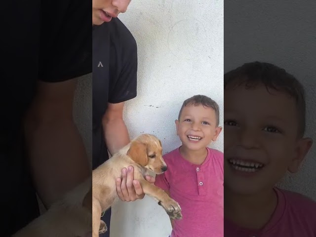 Video 10