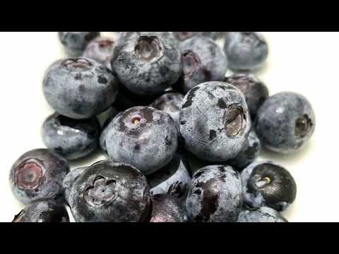 Yaban mersini faydaları