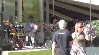 Rockbend Folk Festival 2015 Heritage Blues Orchestra - Clarksdale Moan