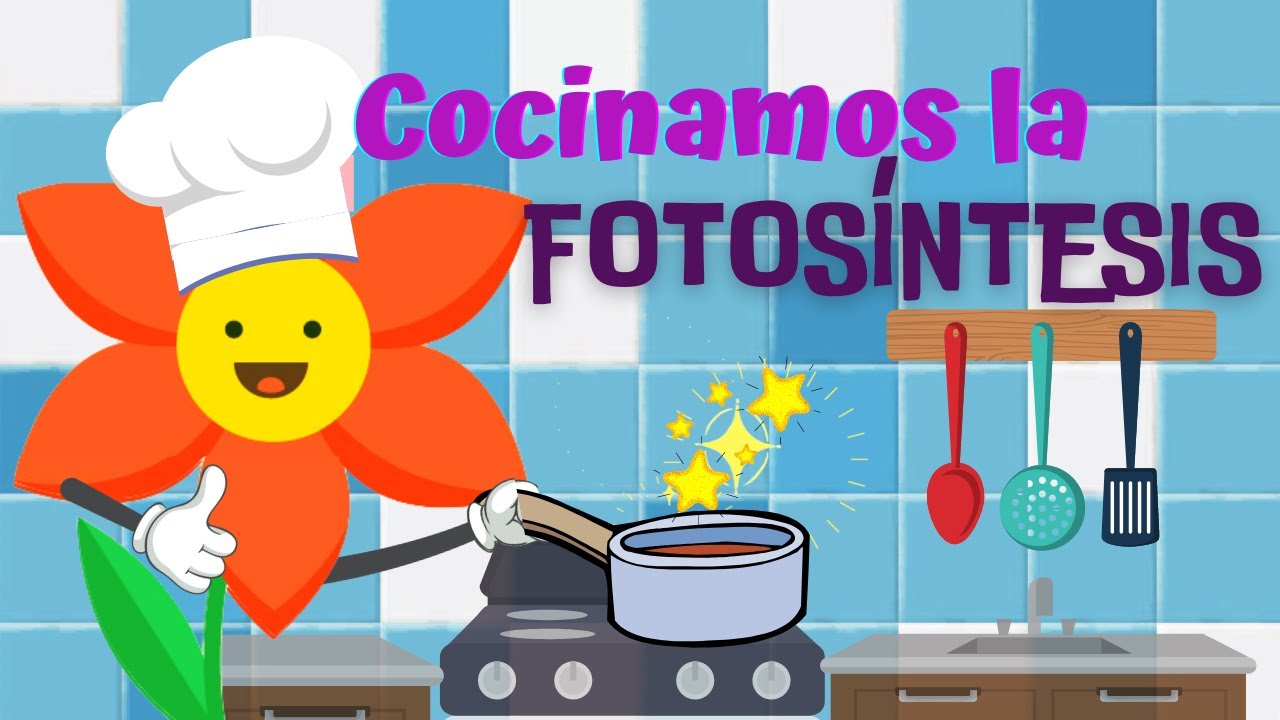 Explicar la  FOTOSÍNTESIS. Función de nutrición en las plantas a NIÑOS DE PRIMARIA.