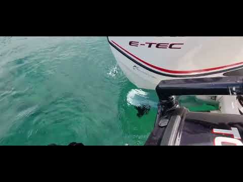 Evinrude Etec 115