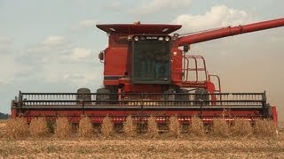preview picture of video 'Case IH 1680 Combine, Soybean Harvest, Near Kirkland, Illinois on 9-17-2012'