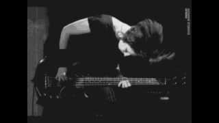 Verdena - Valvonauta acustica