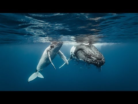 KIDSØ - Apart (Official Video)