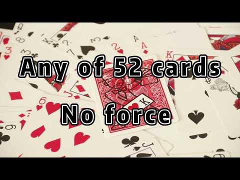 52 Predictions by N2G and XZ