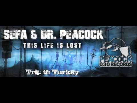 Dr. Peacock & Sefa ft. MC Lenny - Trip To Turkey [High Quality] [FULL]