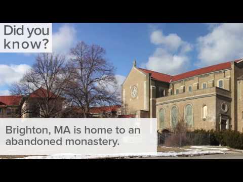 Spotlight on St  Gabriel's