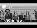 Sus dungo- The River Lullaby / live @pieci.lv 