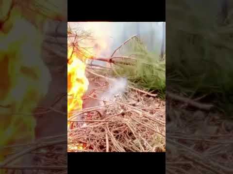 Tom #dude #sneakpeak #creating #freedomville #offgrid #glamping #shorts