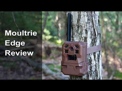 Moultrie Mobile Edge Cellular Trail Camera Review
