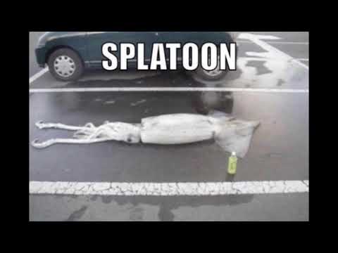 squid kid go splat