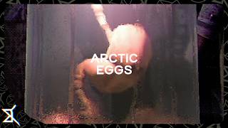 【Steamで圧倒的に好評】エベレストで目玉焼きは焼けるか教えてくれ - Arctic Eggs 実況プレイ