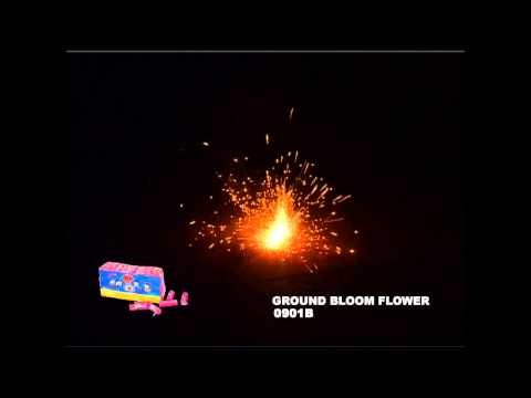 GROUND BLOOM FLOWER - WINDA - 0901B