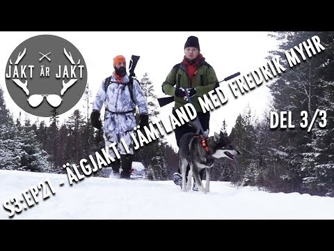 Årets sista älgjakt. Jakt är Jakt S3:Ep21