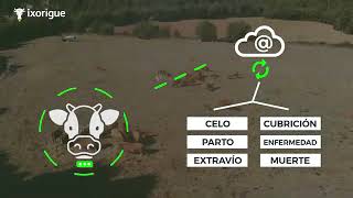MooFinder