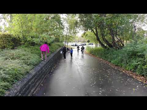 Stengårdsskolen Idrætsdag 2021