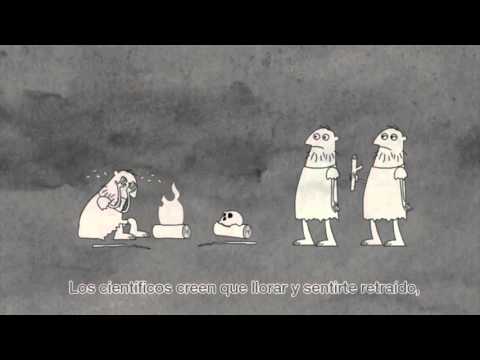 A brief history of melancholy   Courtney Stephens 1