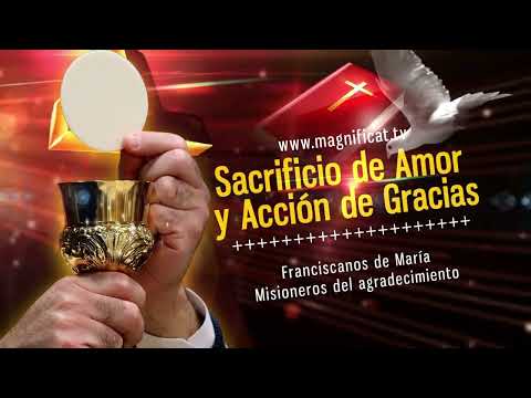 La Santa Misa de hoy |Viernes, VII semana de Pascua |17-05-2024| Pbro. Santiago Martín, FM