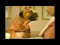 Glade Plug Ins Talking Dog Plug It In Commercial 1998