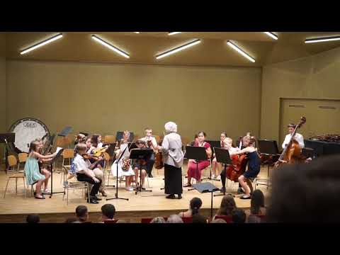 Orchestr nejmladších, Brněnské smyčcové kurzy