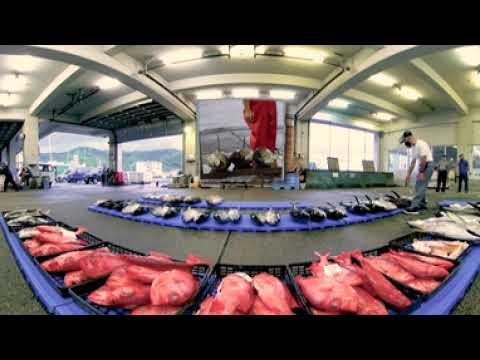 【食の瞳】奄美大島VR動画