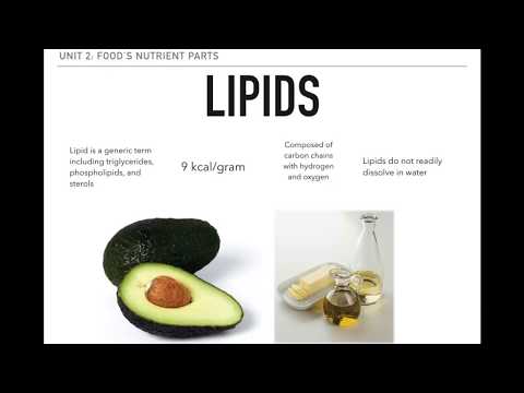 BIOL 200 - 5 - Lipids