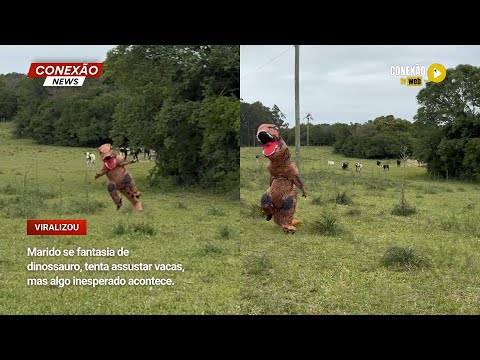 Vídeo: Marido se fantasia de dinossauro, tenta assustar vacas, mas algo inesperado acontece.