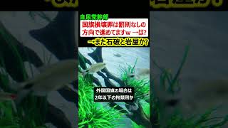 【炎上】自民党幹部「国旗損壊罪は罰則ナシで進めてますw」→また石破と岩屋か…