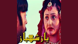 Pa Taal Da Zulfo K Johte Raka song artwork