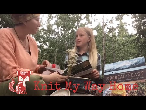 Knit My Way Home: Episode 5: Into the forest