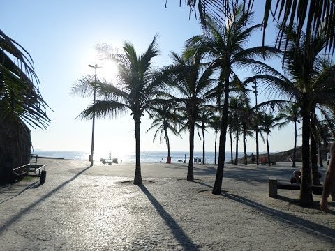 A Bíblia Simplificada - Junho 14 -  João 21.5 -17