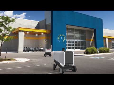 Eliport delivery robot