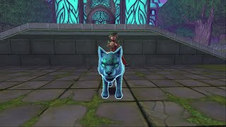 Wizard101 Evergreen Bundle