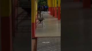 Download lagu story wa 30 detik || buatan anak sekolah mp3 Download lagu story wa 30 detik || buatan anak sekolah mp3