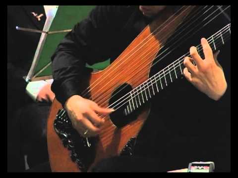 Christian Saggese: "Cavalleria Rusticana" on 14-string Harp Guitar