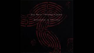 Gigi Masin & Giuseppe Caprioli - Moltitudine In Labirinto (2003) [Italian Experimental, Ambient]