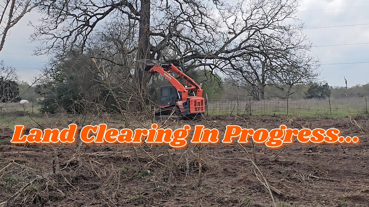 Ep. 5 Building Our Peaceful Acres Homestead | Land Clearing (part 2)