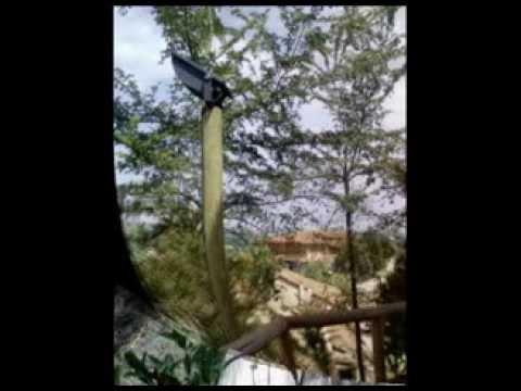 Toti Lux San Damiano d'Asti