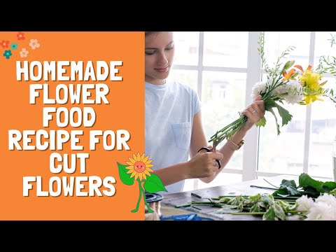 Homemade Flower Food Recipe for Cut Flowers