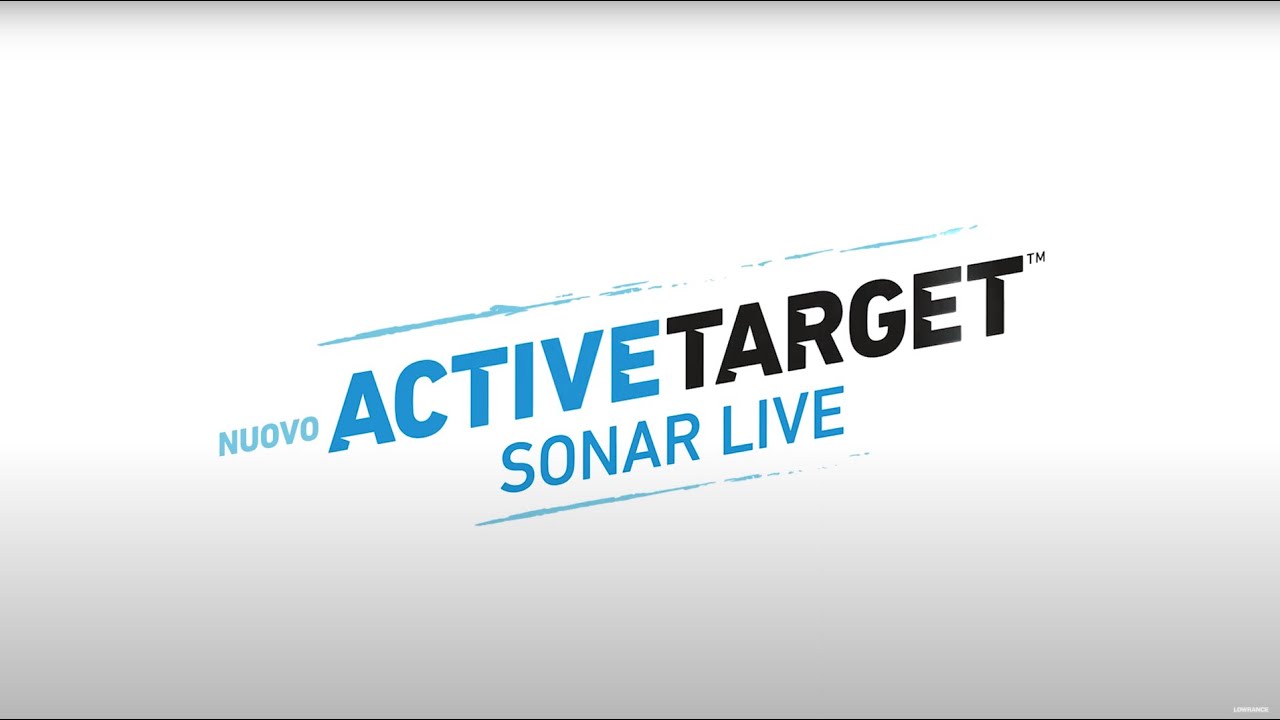 VIDEO ACTIVE TARGET