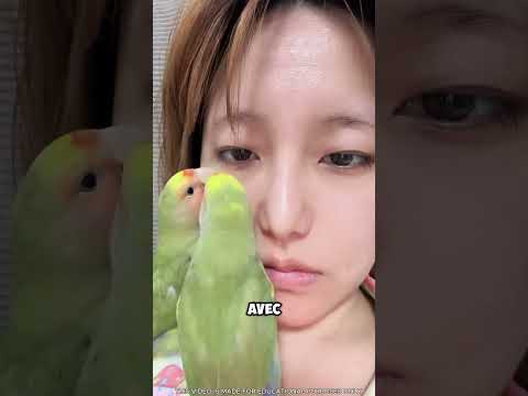 Deux perroquets ont pris la relève d'un médecin 😍🦜