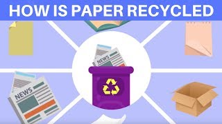 How is Paper Recycled? Waste Paper Recycling Process | Recyling for kids | Paper Recycling for kids