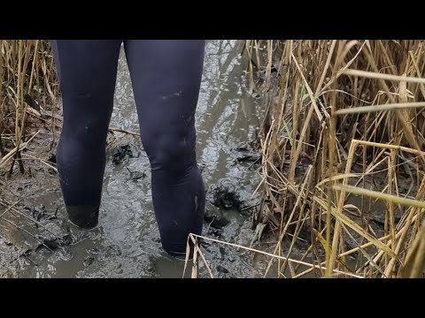 Bello Gallico 2024 - Daytime fun