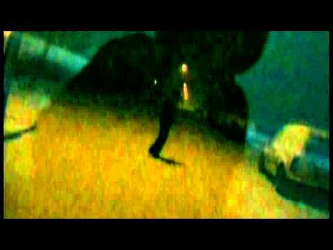 Micro One - SPQR (ka-meal prod.)