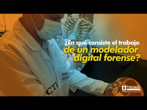 ¿En qué consiste el trabajo de un modelador digital forense?