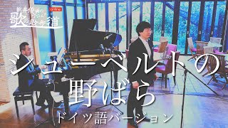 Download lagu 「シューベルトの野ばら（ドイツ語）」作詞：J.W.ゲーテ　作曲： F.シューベルト　新井俊稀　歌のプロムナード online mp3