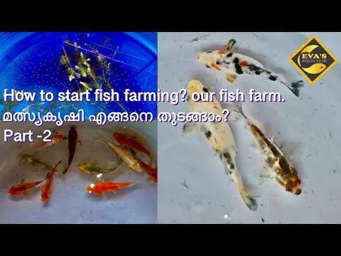 , title : 'How to start fish farming?Fish farm in wayanad. How to start a fish farming business?Our farm visit.'