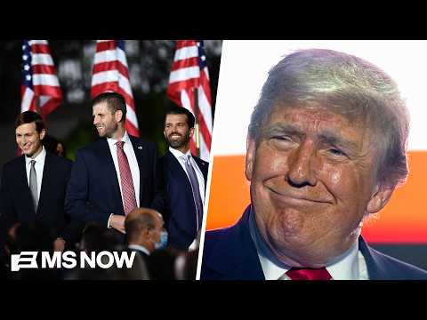 ‘Conflict of interest regime’: Fmr. State Dept. official on mining deal that enriches Trump’s sons