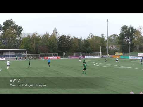 Samenvatting AV 1 -  Hollandia T 1