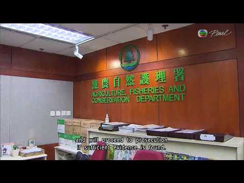 TVB ニュース 7:30｜2026年8月18日｜香港 英語 最新ニュース｜ (TVB News at 7:30｜18 AUG 2026｜HONG KONG English Latest NEWS｜)